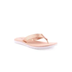 Chinelos / Socas*BEIRA RIO Chinelo