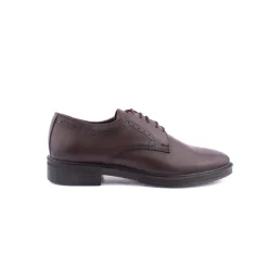 Sapato Clássico*BRACCI Sapato