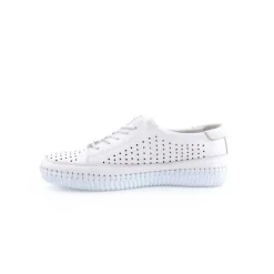 Sapatos Rasos*BRACCI Sapato