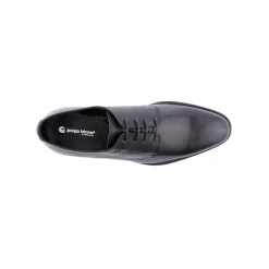 Sapato Clássico*GIORGIO FALCONE Sapato